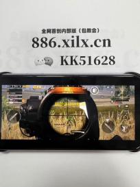 欧皇送皮肤软件